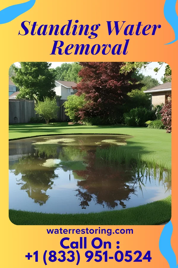Standing Water Removal in Fountain, NC